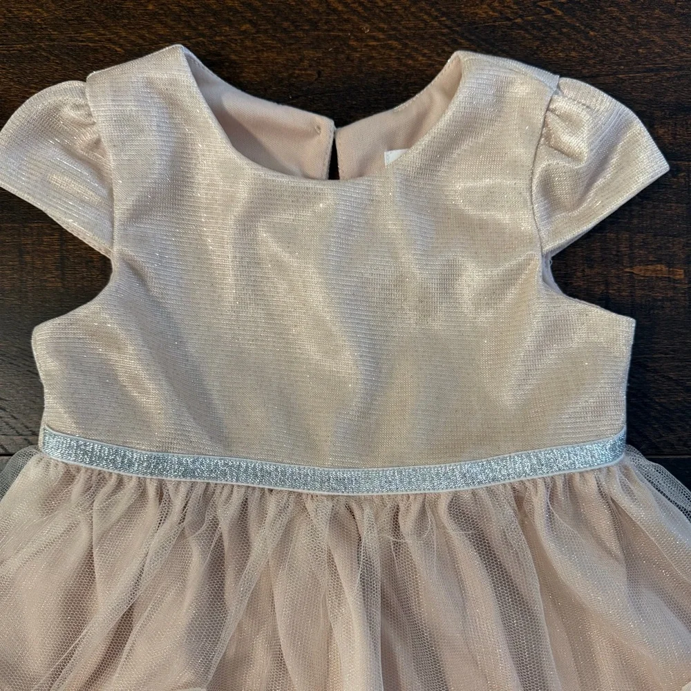 Nannette 3D Rosette Tulle Dress Champagne Pink 18M Flower Girl Birthday Shimmer